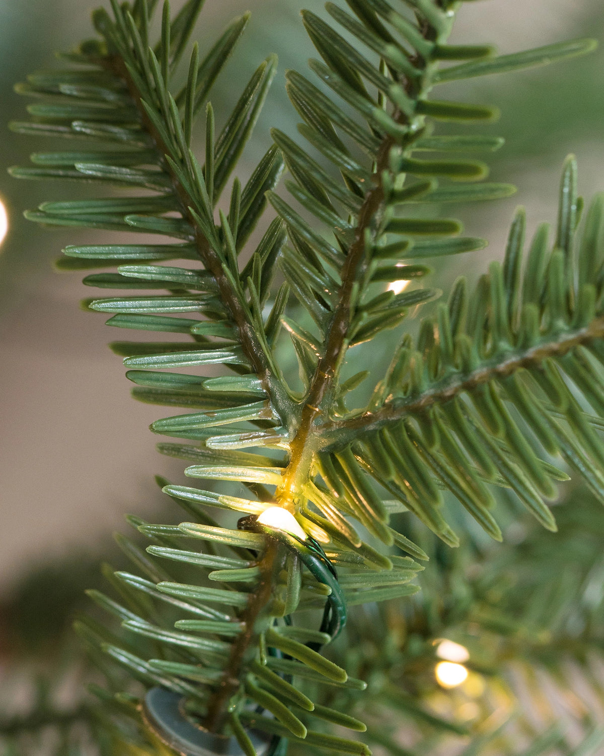 Árvore de Natal Abeto Balsâmico Alpino — 5