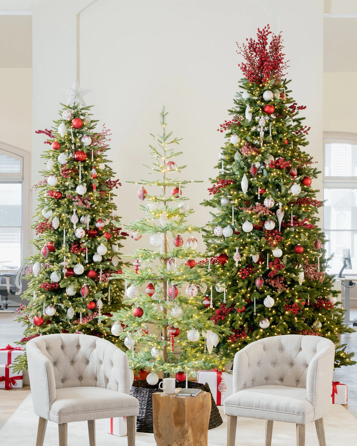 Árvore de Natal Abeto Balsâmico Alpino — 7