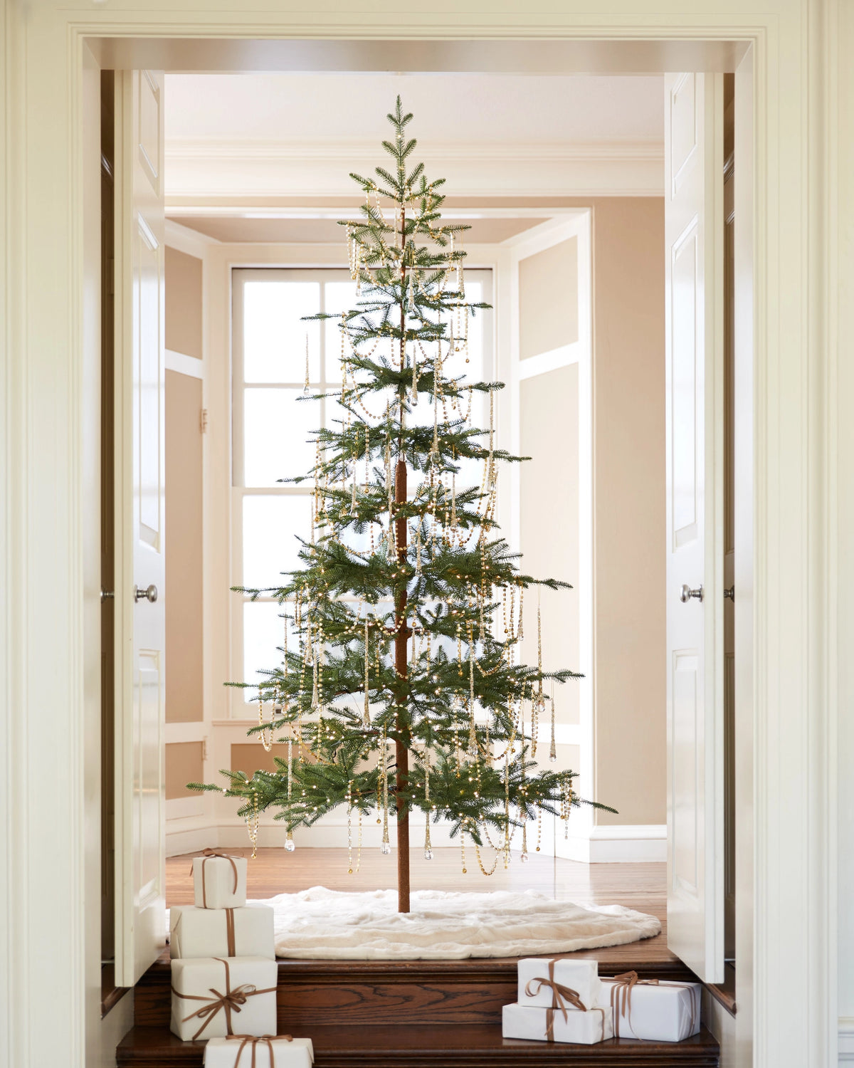 Árvore de Natal Abeto Balsâmico Alpino — 8