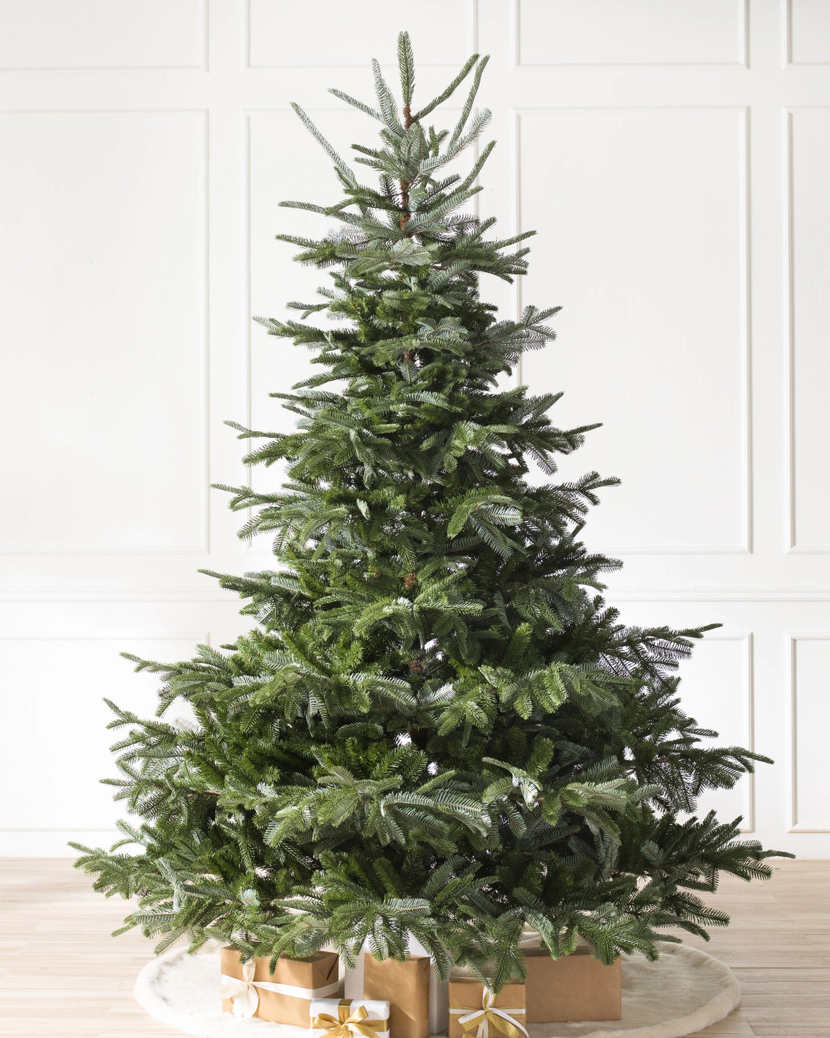 Árvore de Natal Abeto Europeu — 3