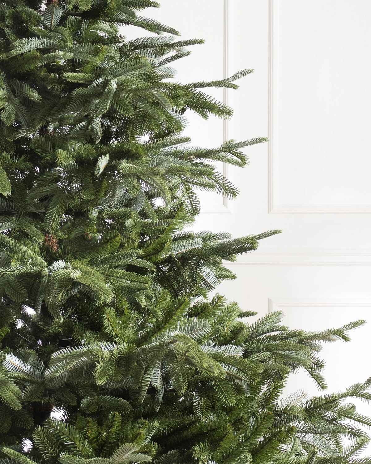 Árvore de Natal Abeto Europeu — 6