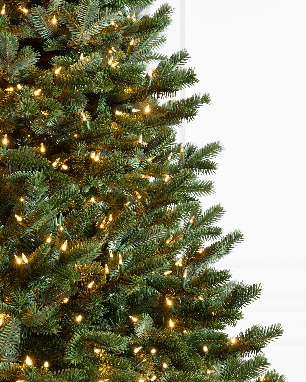 Árvore de Natal Abeto Fraser Imperial — 7