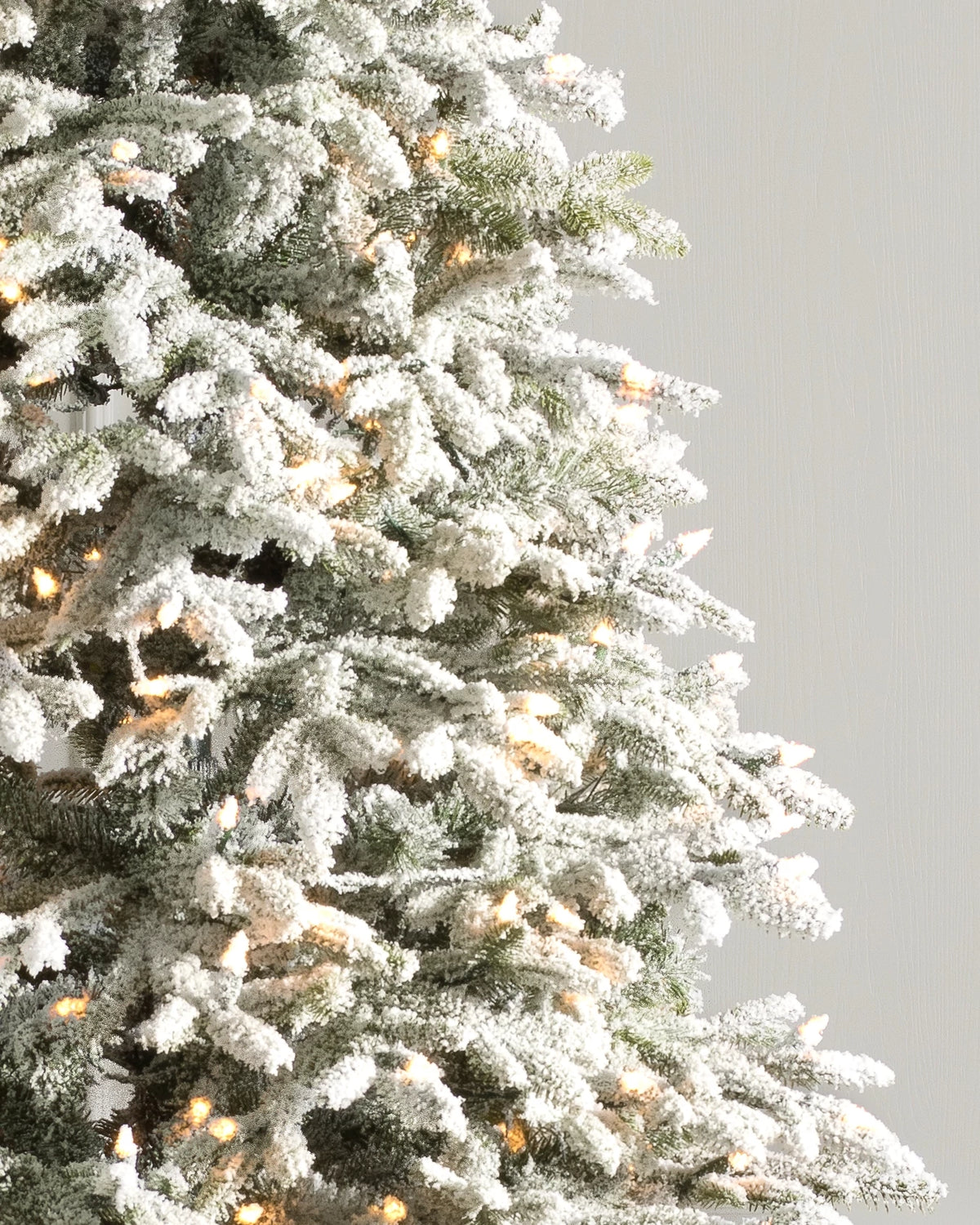 Árvore de Natal Abeto Fraser Nevado — 3