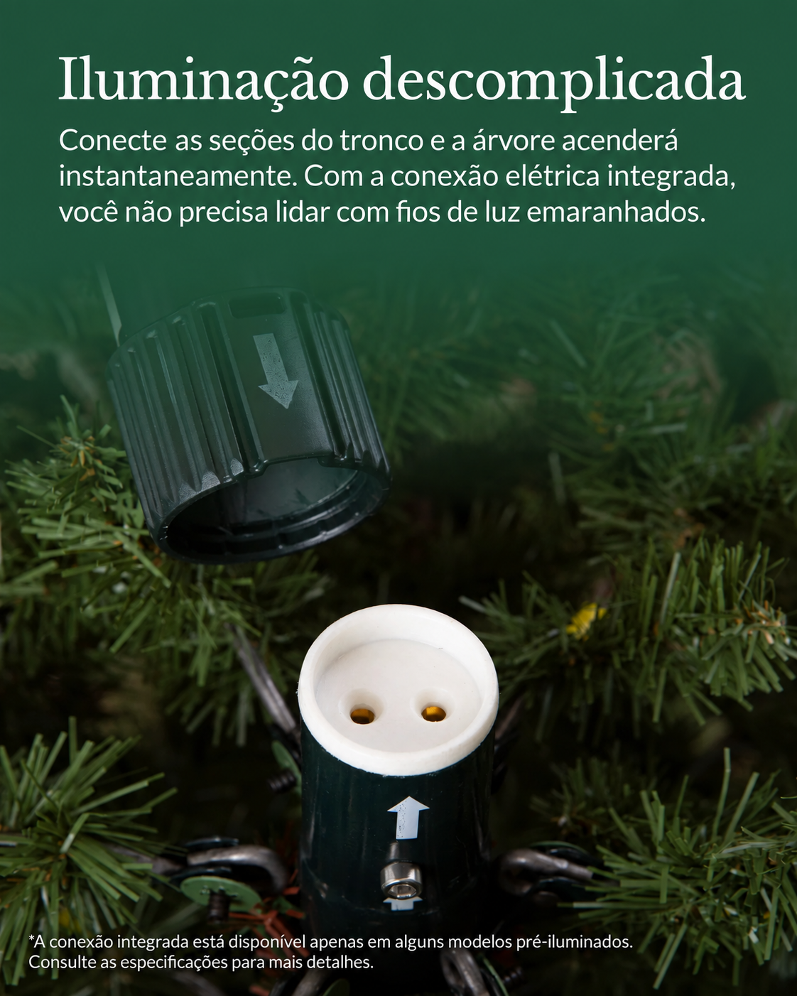 Árvore de Natal Abeto Fraser Nevado — 6
