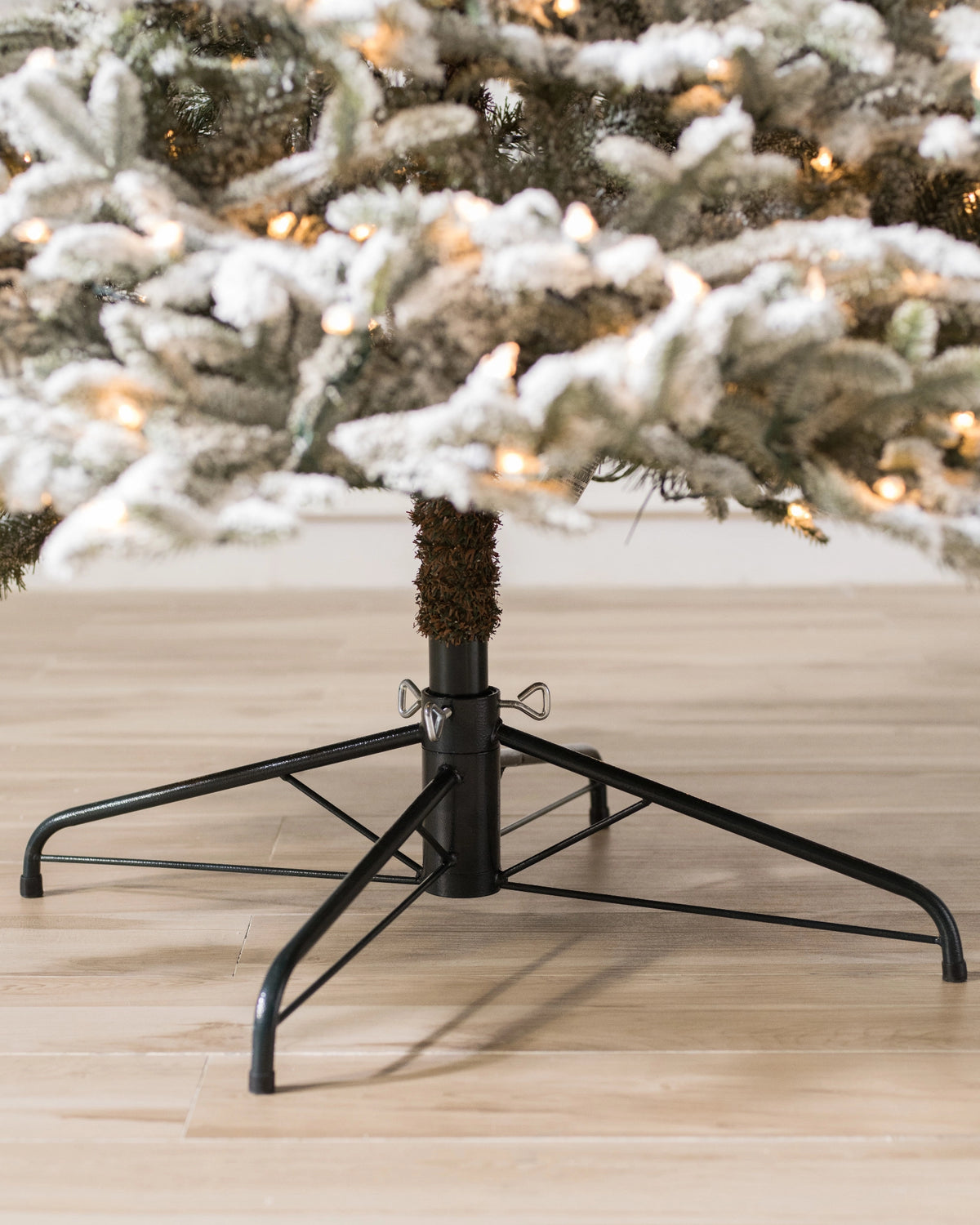 Árvore de Natal Abeto Fraser Nevado — 7