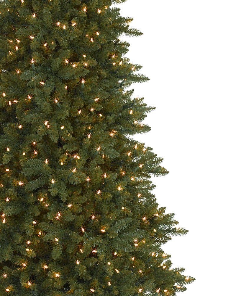 Árvore de Natal Abeto Montanha Berkshire — 5