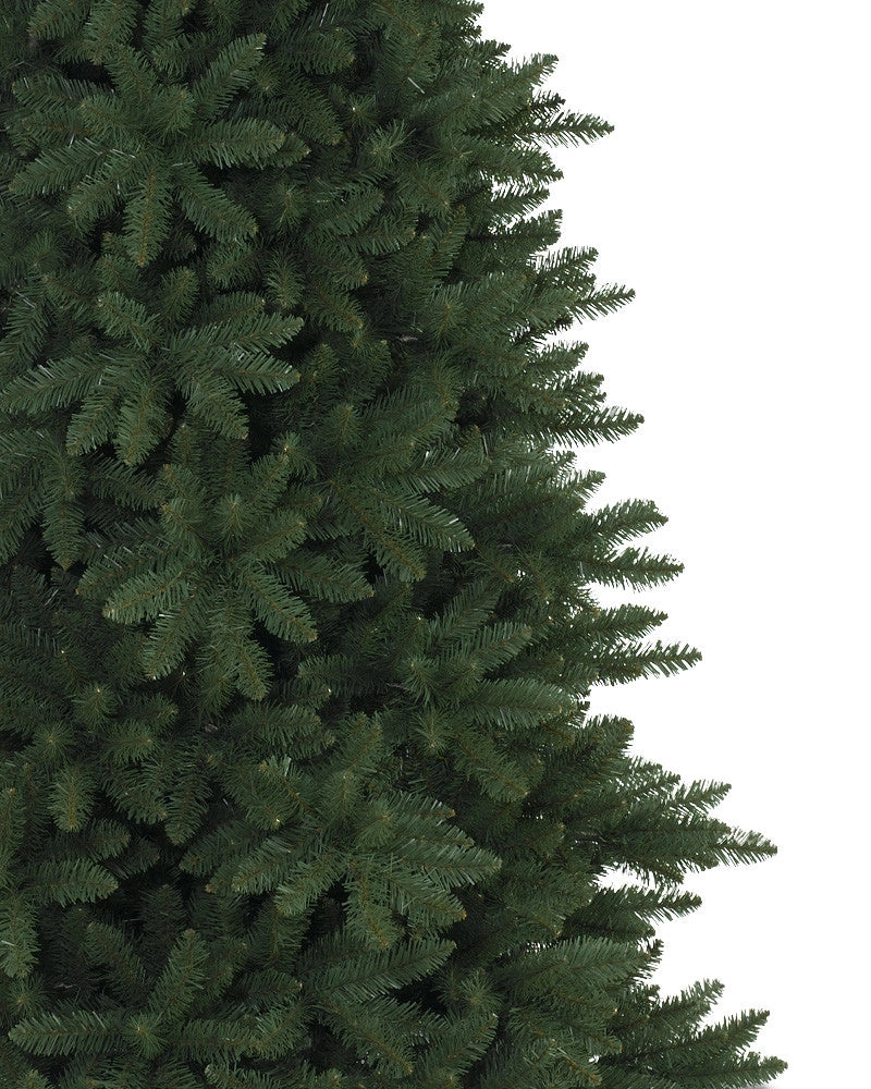 Árvore de Natal Abeto Montanha Berkshire — 6