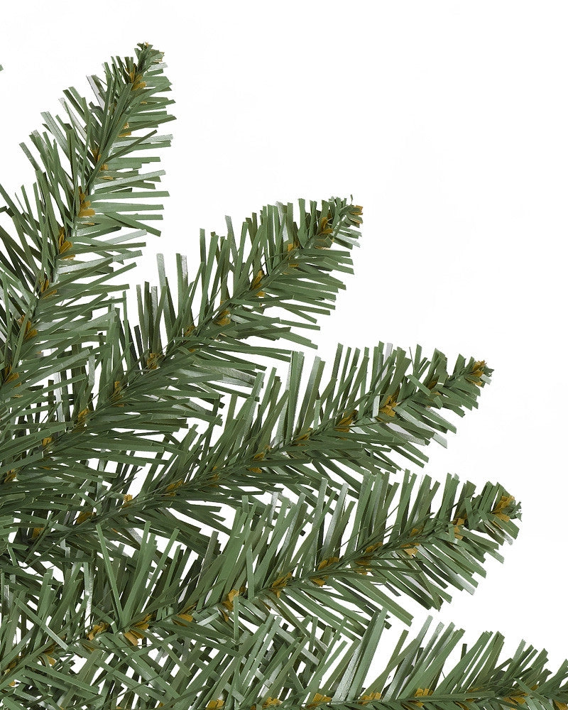 Árvore de Natal Abeto Montanha Berkshire — 7