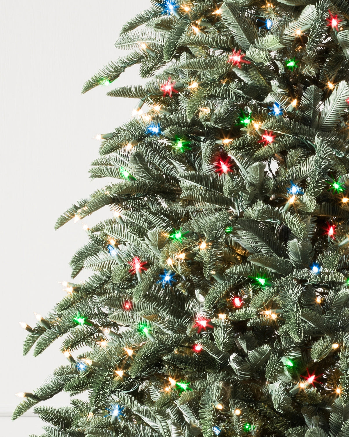 Árvore de Natal Abeto Nobre — 3