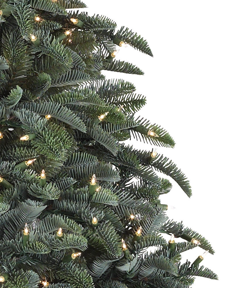 Árvore de Natal Abeto Nobre — 4