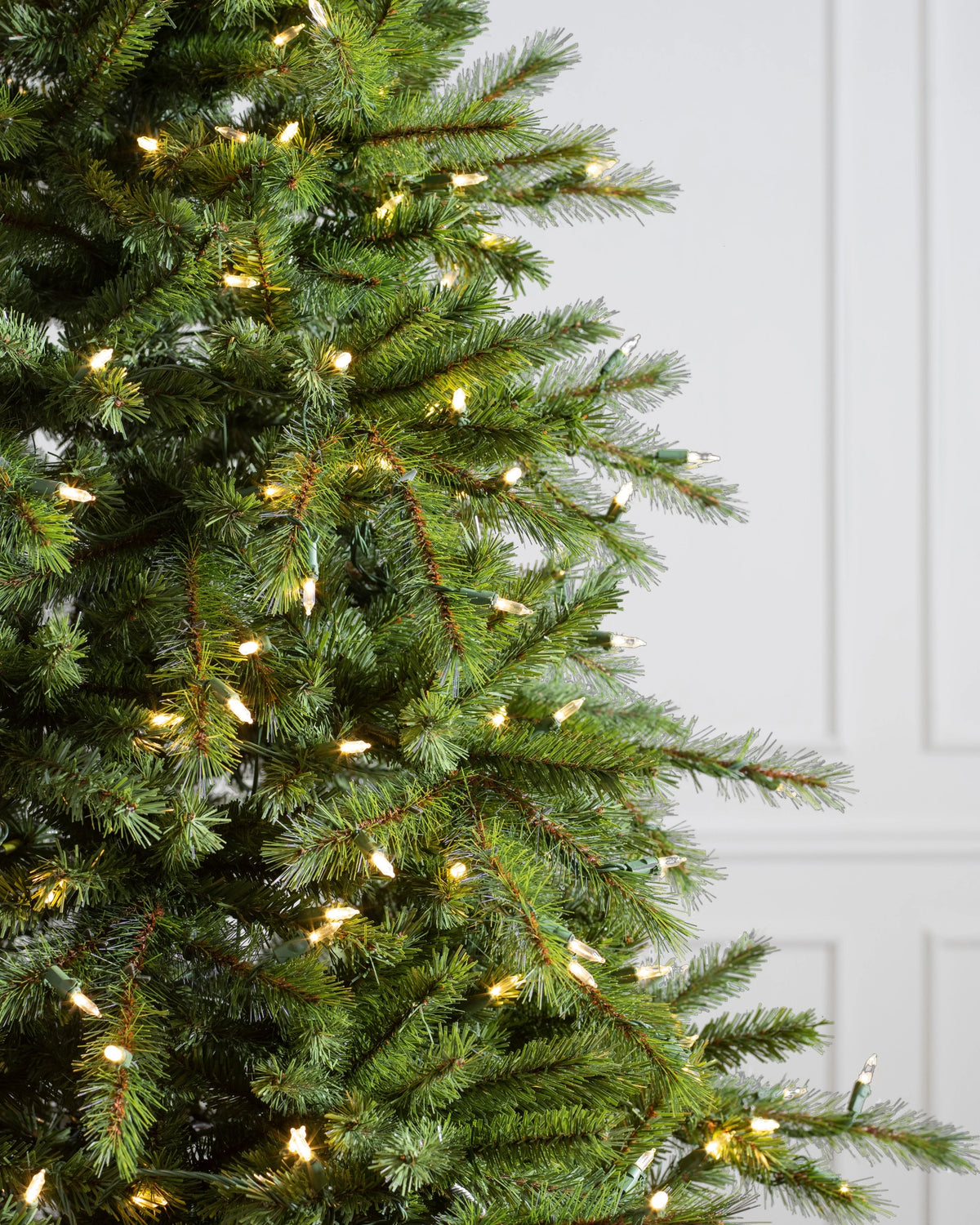 Árvore de Natal Grande Abeto Norueguês — 3