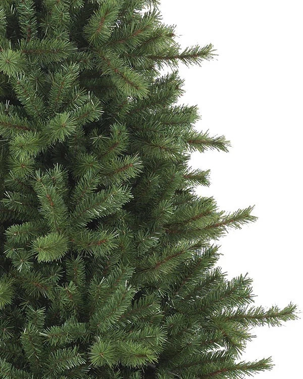 Árvore de Natal Grande Abeto Norueguês — 5