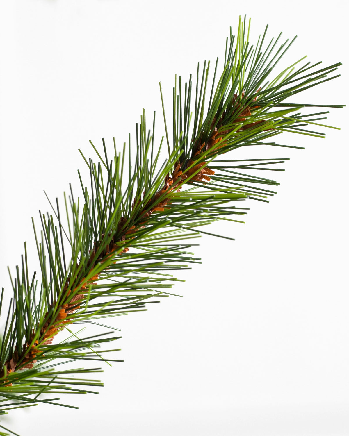 Árvore de Natal Grande Abeto Norueguês — 6