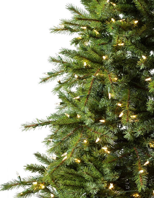Árvore de Natal Grande Abeto Norueguês — 8