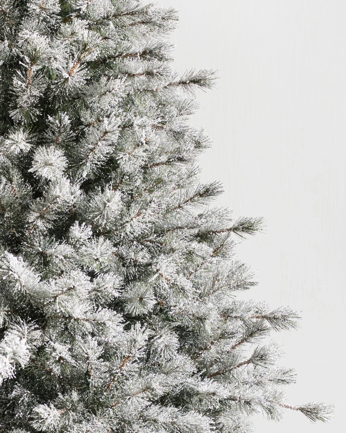 Árvore de Natal Pinheiro Açucarado Nevado — 3