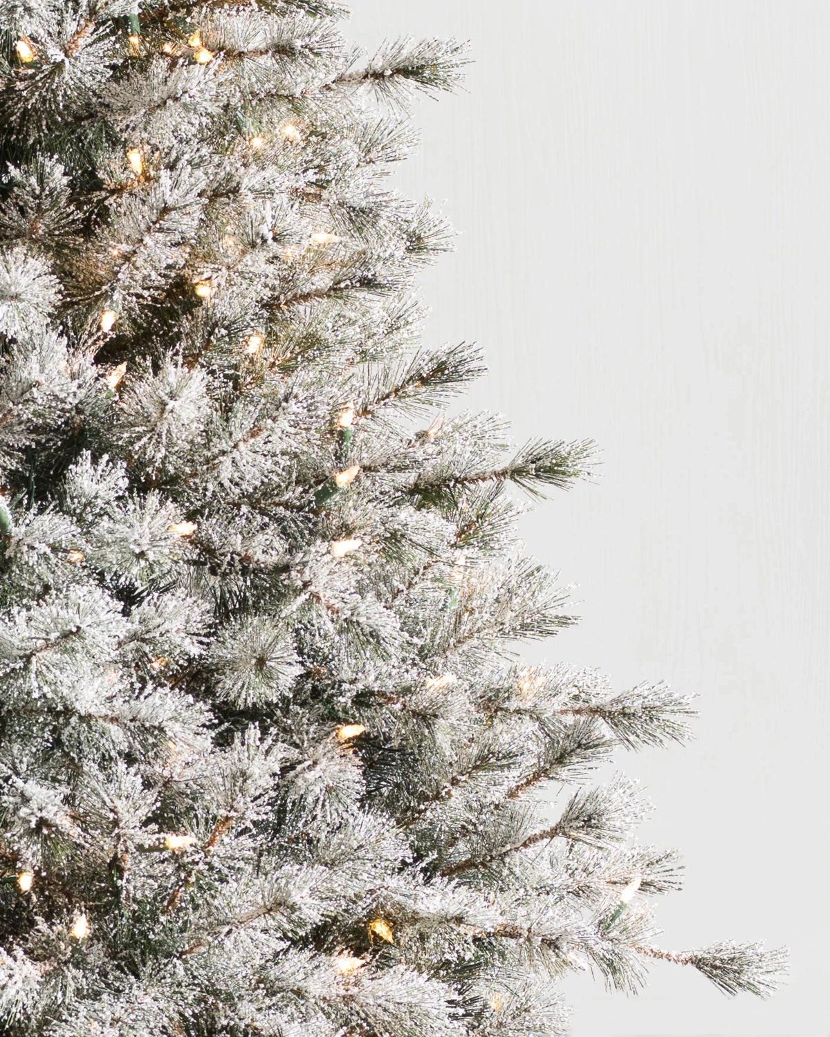 Árvore de Natal Pinheiro Açucarado Nevado — 4