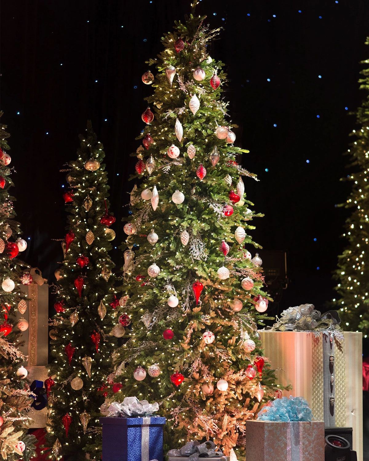 Árvore de Natal Pinheiro Bosque Slim — 8