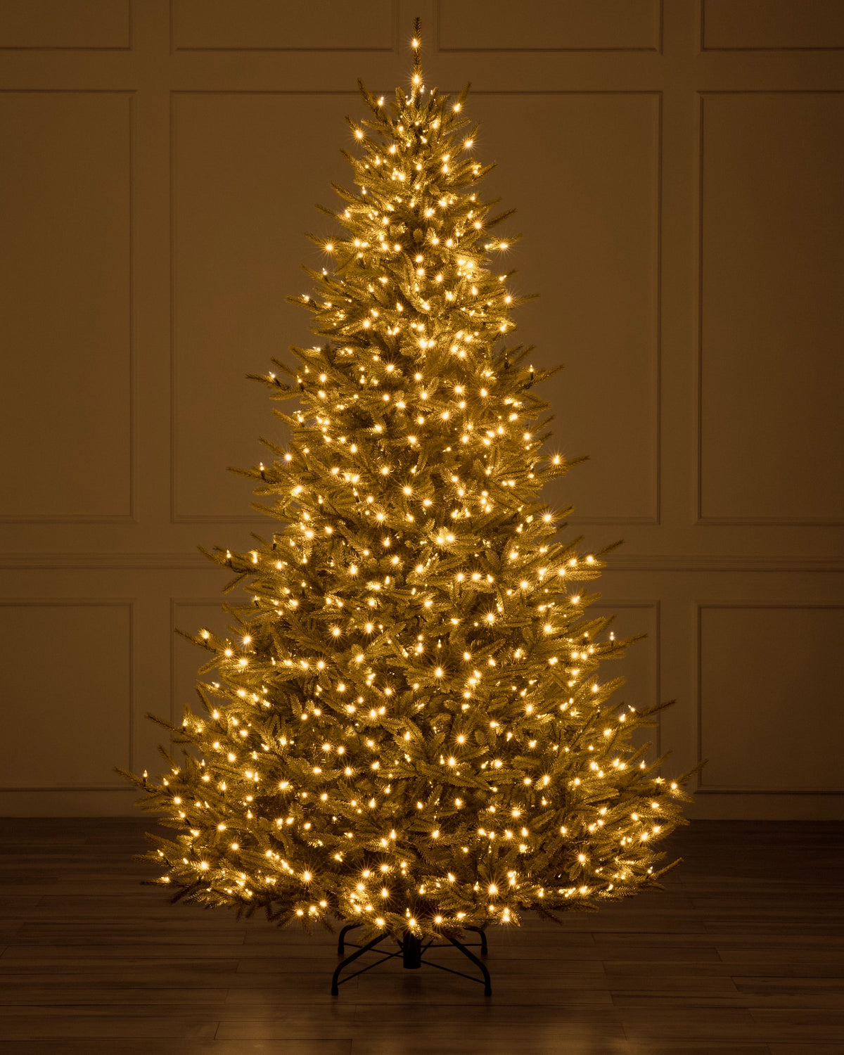 Árvore de Natal Pinheiro Norueguês do Norte — 5