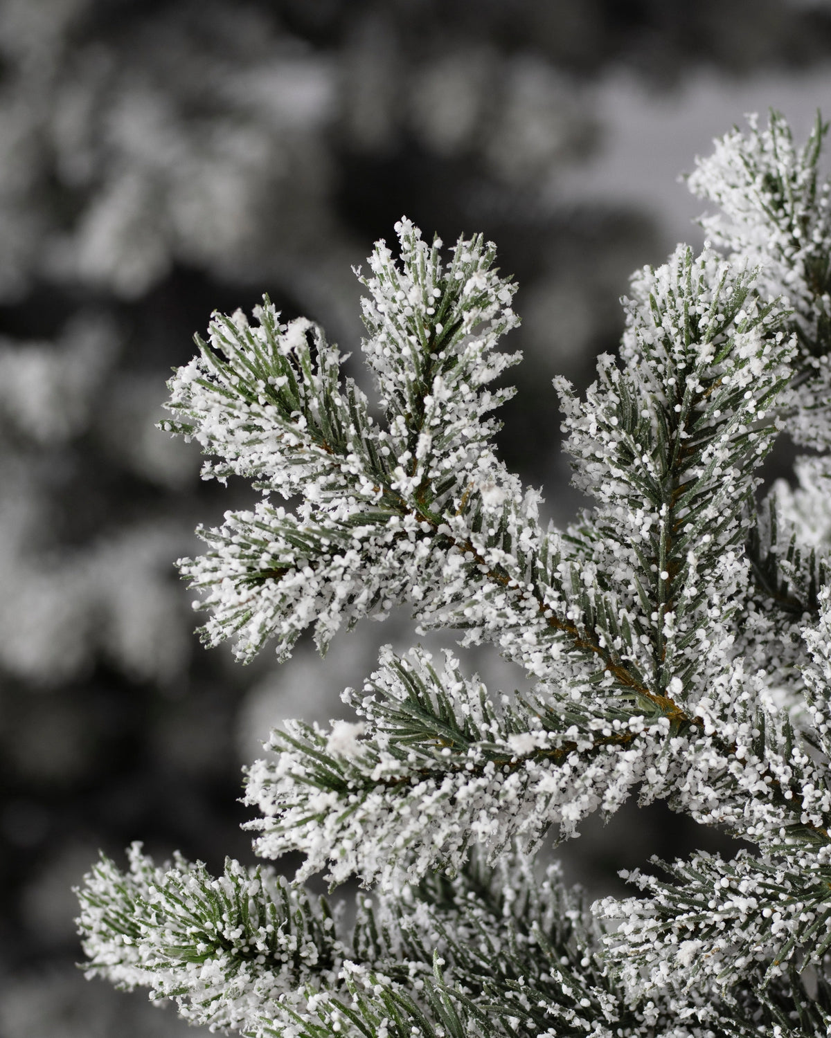 Árvore de Natal Pinheiro Yukon Nevado — 5