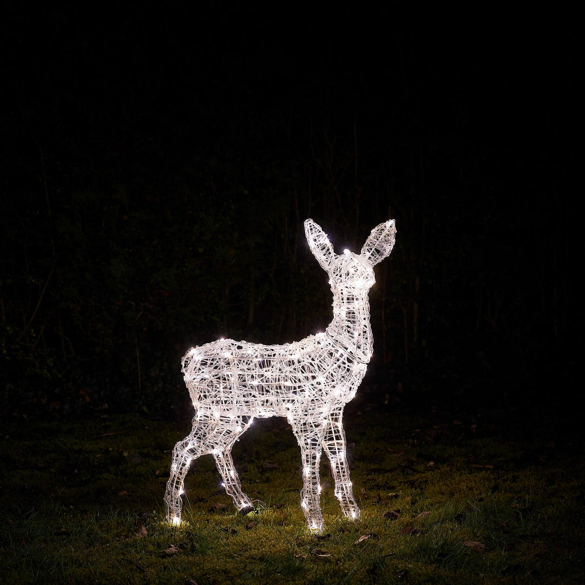 Rena Iluminada Luz Branca — 6
