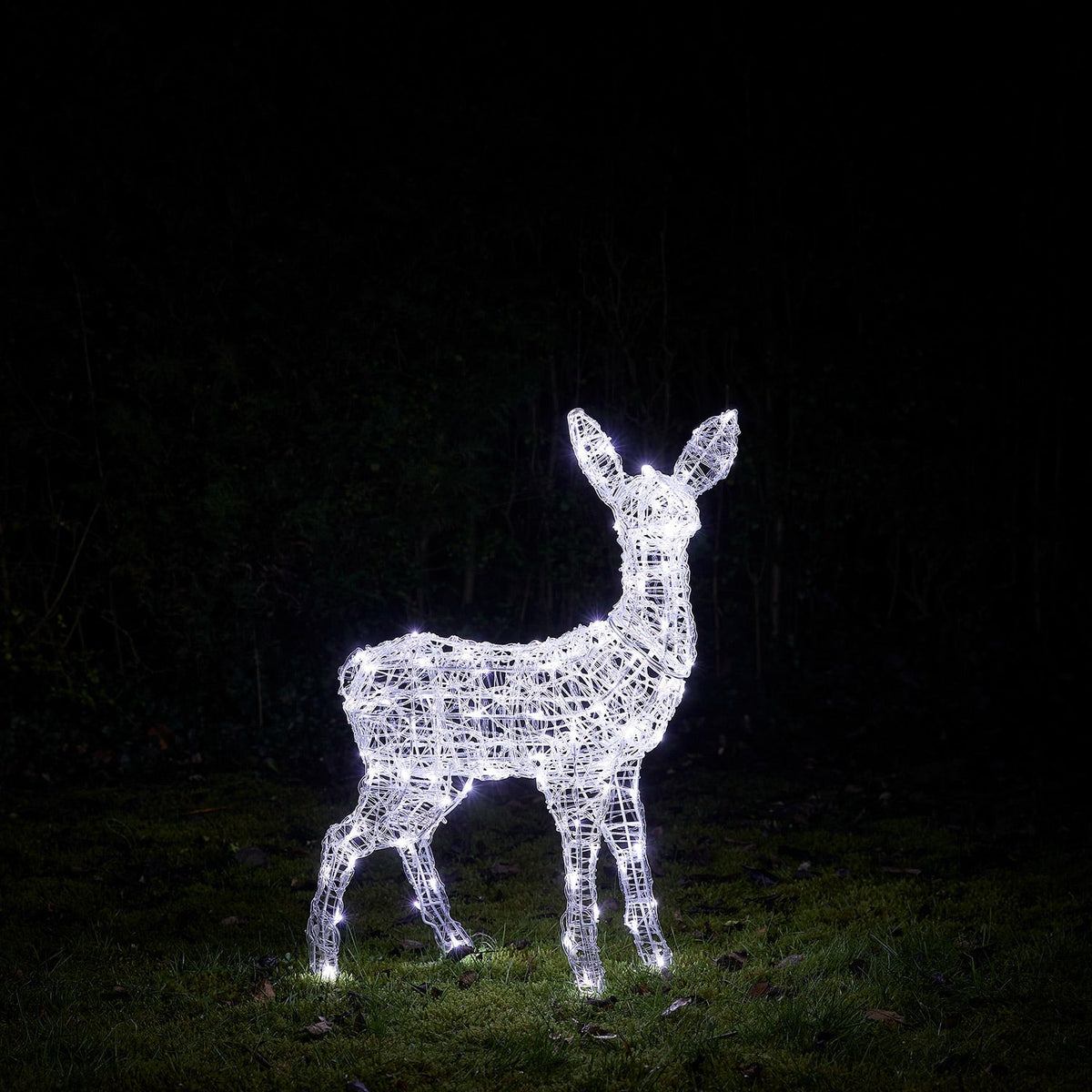Rena Iluminada Luz Branca — 8